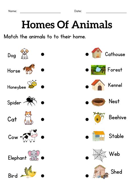 animals   homes worksheets  grade    homes  animals