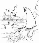 Marins Antarctica Marine Coloriages Continent sketch template