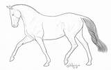 Dressage Horse Coloring Comments sketch template