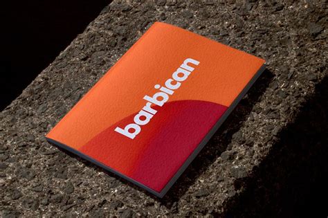 visual identity brand identity guidelines book posters