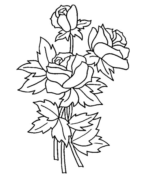 coloring pages  roses coloring home