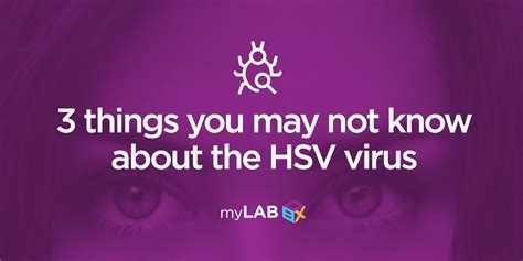 3 things you may not know about the hsv virus at home