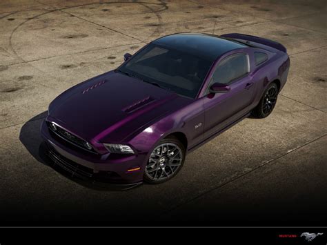 purple   mustang source ford mustang forums