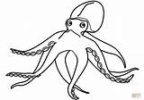 Polvo Octopus sketch template