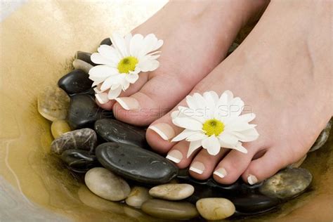 foot spa womans feet  bowl  water  rocks wellness invest