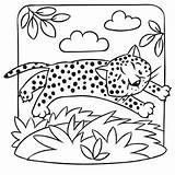 Selva Coloreamos Animalitos Mundoderukkia Descarga Preescolar Artículo sketch template