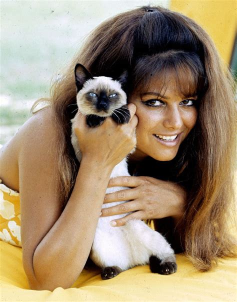 claudia and kitten classic beauty timeless beauty claudia cardinale