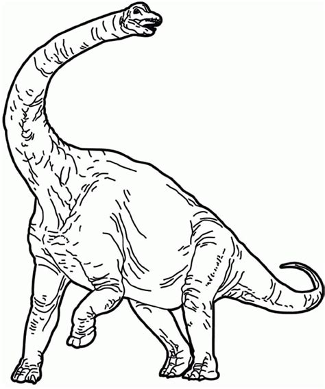 diplodocus coloring page coloring home