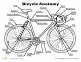Bicycle Worksheets Bike Anatomy Safety Parts Worksheet Science Scout Cub Bear Kids Scouts Grade Tiger Achievement Activities Homeschool Bikes Basic sketch template