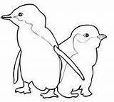 Coloring Penguins Penguin Pages Outline Little Blue Drawing Two Supercoloring Printable Cute Paintingvalley Baby sketch template
