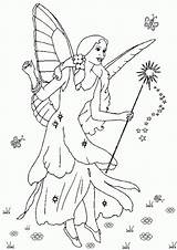 Fairies Develop Educationalcoloringpages Coloringhome sketch template
