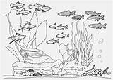 Aquarium Fish Tank Coloring Pages Drawing Sketch Printable Color Kids Print Paintingvalley Getcolorings sketch template