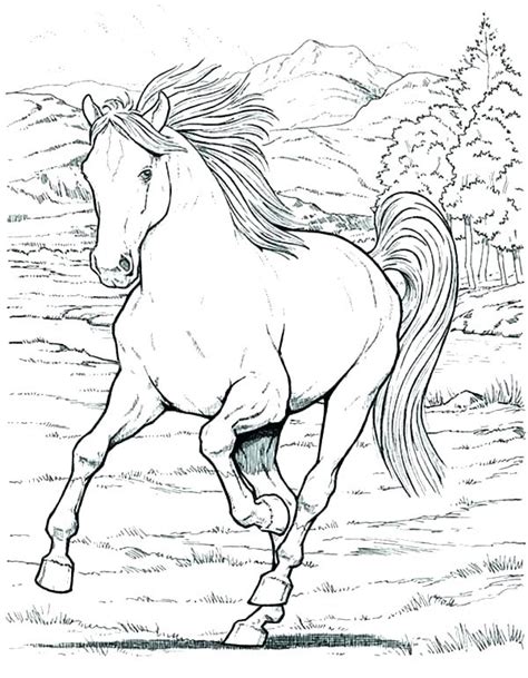 appaloosa horse coloring pages  getdrawings
