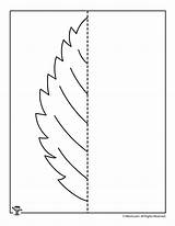 Symmetry Leaf Fall Practice Worksheets Worksheet Drawing Kids Finish Elm sketch template