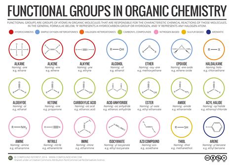 functional groups  organic chemistry infographic chemistrycompk