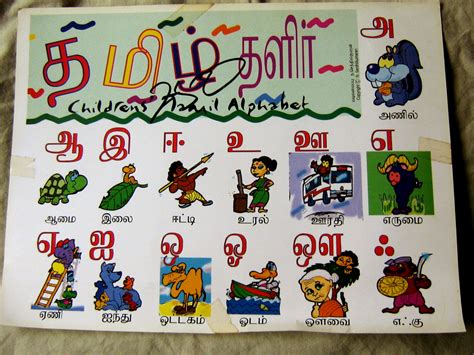 studiosenthil childrens alphabet chart  tamil