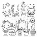 Cactus Contour Linear Scribble Sveglio Coloritura Vettore Lineare Colorare Immag sketch template