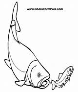 Pages Bass Coloring Fish Clip Pro Shop Clipart Cliparts Largemouth Presentations Projects Popular Websites Printable Reports Powerpoint Use These Advertisement sketch template