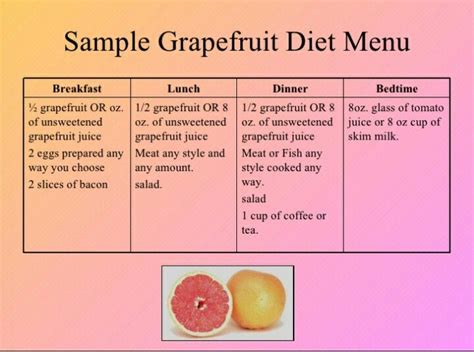 paleo recipe book grapefruit diet menu grapefruit