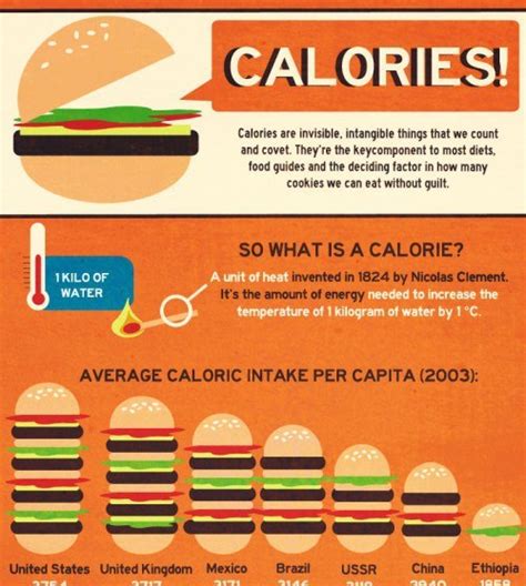 calories     calorie infographic