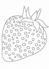 Coloring Erdbeere Malvorlagen Obst Strawberry Buah Buahan Frutas Morango Ausmalbild Kertas Mewarna Coloringhome Kidipage Strawberi sketch template