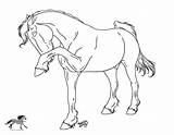 Friesian Lineart Pawing sketch template
