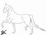 Saddlebred Lineart sketch template