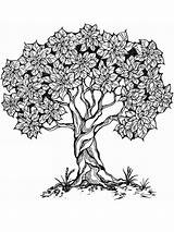 Coloring Pages Tree Adult Printable Life Adults Color Book Choose Board 1000 Books sketch template