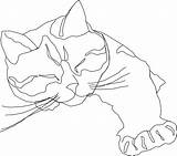 Cat Line Drawing Calico Sleepy Coloring Only Outline Drawings Pages Contour Sleeping Clip Clipart Cats Easy Pixabay Vector Face Cliparts sketch template