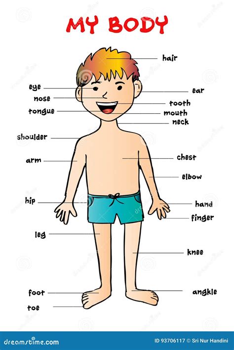 human body organs labeled  kids keekmail