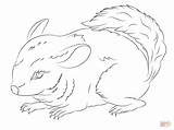 Coloring Pages Chinchilla Chinchillas Cute Tailed Long Drawing Color Getcolorings Kids Categories sketch template