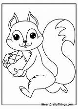 Squirrels Acorn Iheartcraftythings sketch template