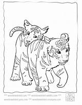 Tiger Coloring Pages Baby Cute Tigers Bobcat Footprint Printable Lsu Sheets Kids Drawing Colouring Color Mother Cub Footprints Print Animals sketch template