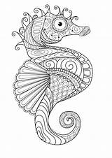 Coloring Seahorse Pages Mandala Animal Mindfulness Kids Choose Board Adult sketch template