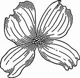 Dogwood Dyer Cornus Petals Designlooter Bloom Onlinelabels Pinclipart Gmail sketch template