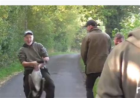 foxhunter filmed violating dead goose hunt saboteurs association