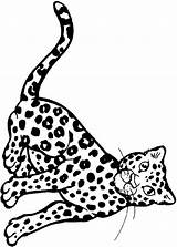 Ocelot Kolorowanki Darmowe Dzieci Leopardy sketch template