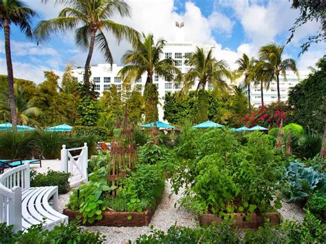 palms hotel spa miami beach florida united states hotel