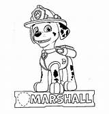 Ausmalbild Marshal sketch template