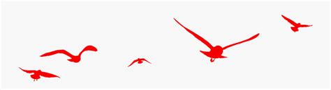 red birds flying png  flying red bird png  transparent