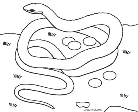 snake coloring pages  kids coloring pictures  snakes  curious