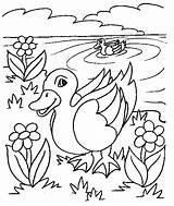 Banho Patinhos Tomando Colorir Para Visitar Desenhos Duck Coloring Desenho Pages sketch template