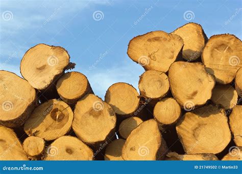 wooden logs stock photo image  outdoor sunny pattern