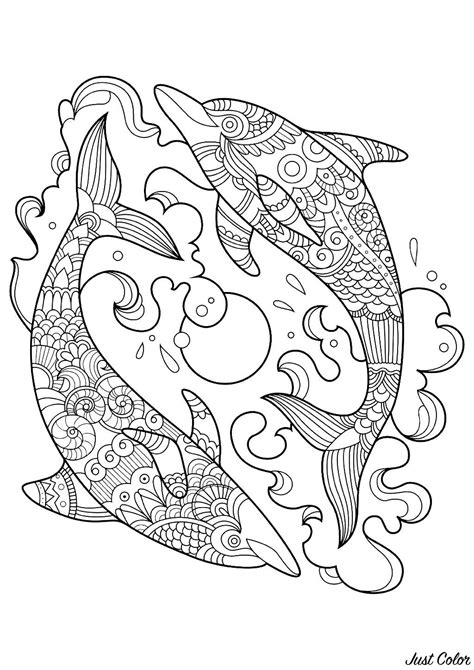 funny dolphins coloring page whale coloring pages dolphin coloring