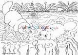 Platypus Colouring Activityvillage Kidsuki sketch template