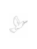 Dove Coloring Mourning Peace Symbol sketch template