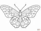 Butterfly Coloring Pages Drawing Monarch Cycle Life Line Ausmalbilder Zum Supercoloring Morpho Getdrawings Ausdrucken Printable Funchap Blue Paintingvalley sketch template