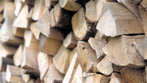 identify good firewood youtube