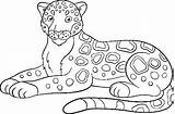 Jaguar Coloring Pages Animal Sheets Kids Baby Color Rainforest Simple Jaguars Choose Board sketch template