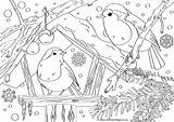 Colouring Robins Scene Pages Robin Christmas Become Member Log sketch template